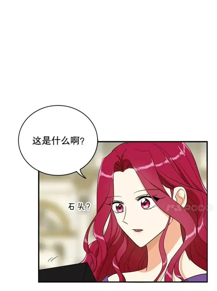 《反派的继母》47.魔力石图56