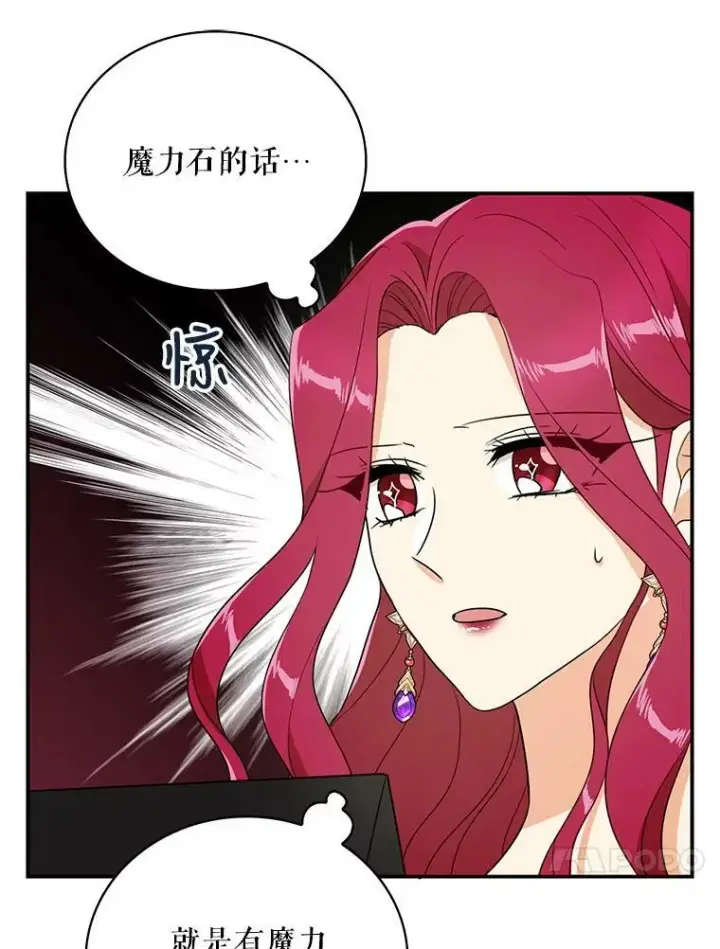 《反派的继母》47.魔力石图59