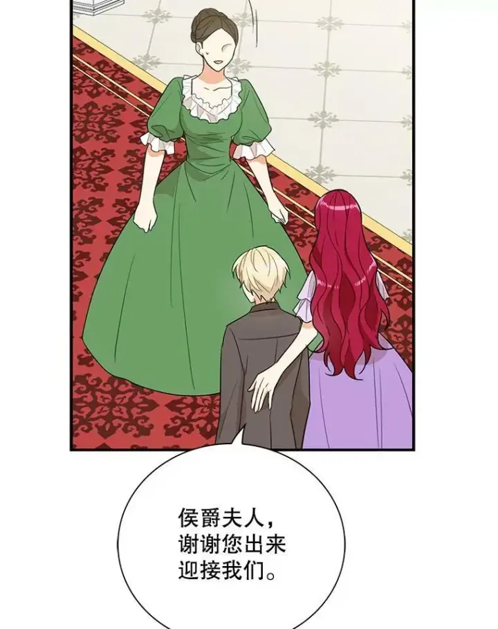 《反派的继母》47.魔力石图78
