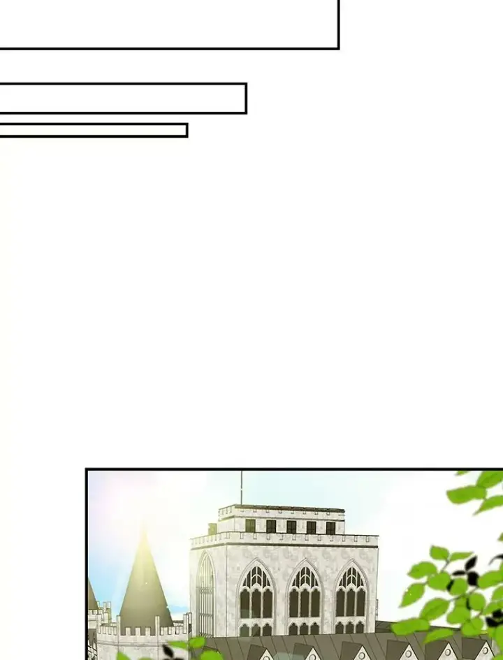 《反派的继母》47.魔力石图8
