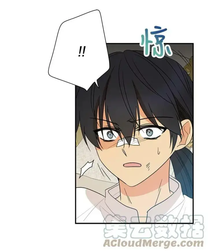《反派的继母》47.魔力石图88