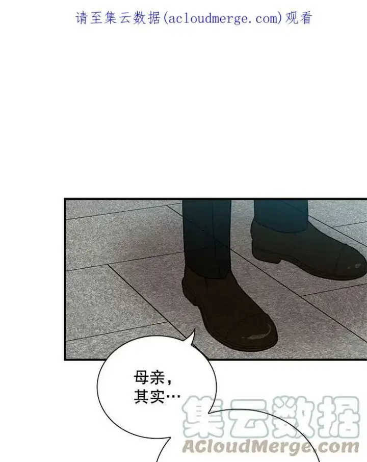 《反派的继母》53.真相暴露图88