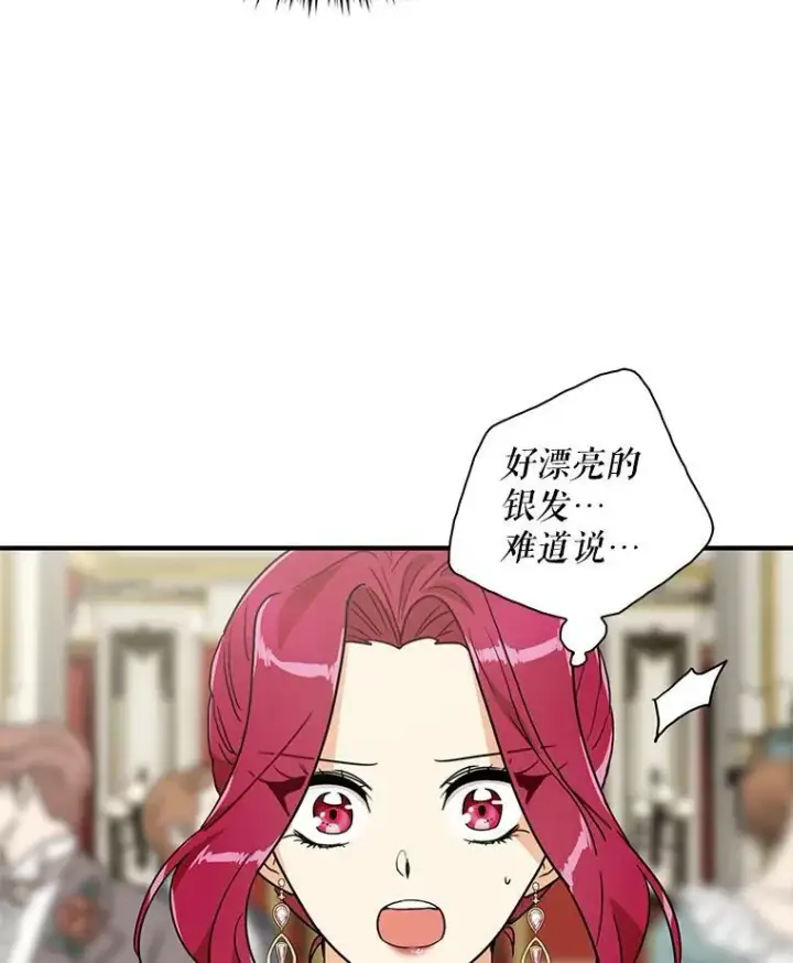 《反派的继母》62.皇宫宴会图96