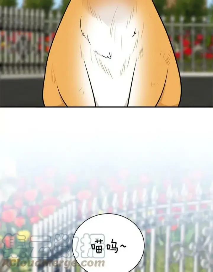 《反派的继母》67.卡丽娜和猫图19