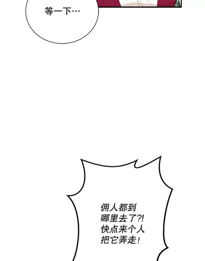 《反派的继母》67.卡丽娜和猫图26