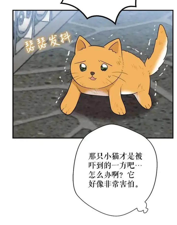 《反派的继母》67.卡丽娜和猫图27