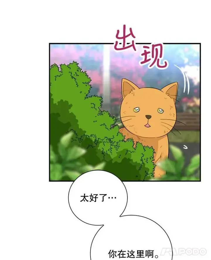 《反派的继母》67.卡丽娜和猫图48