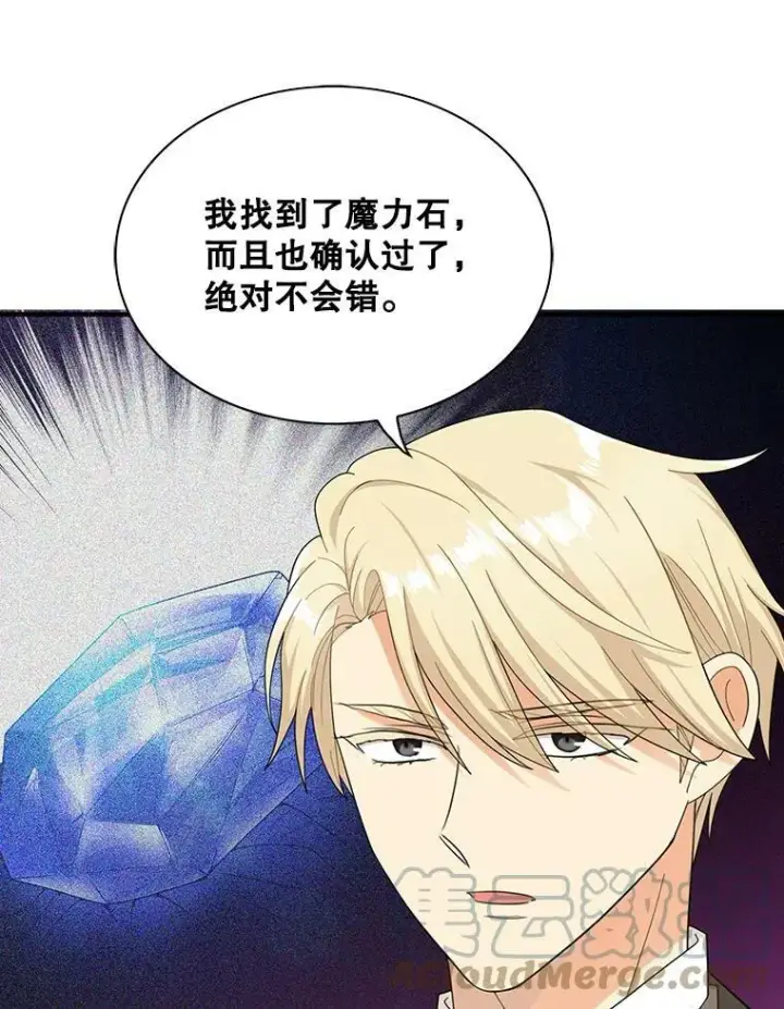 《反派的继母》72.巨大发现图52