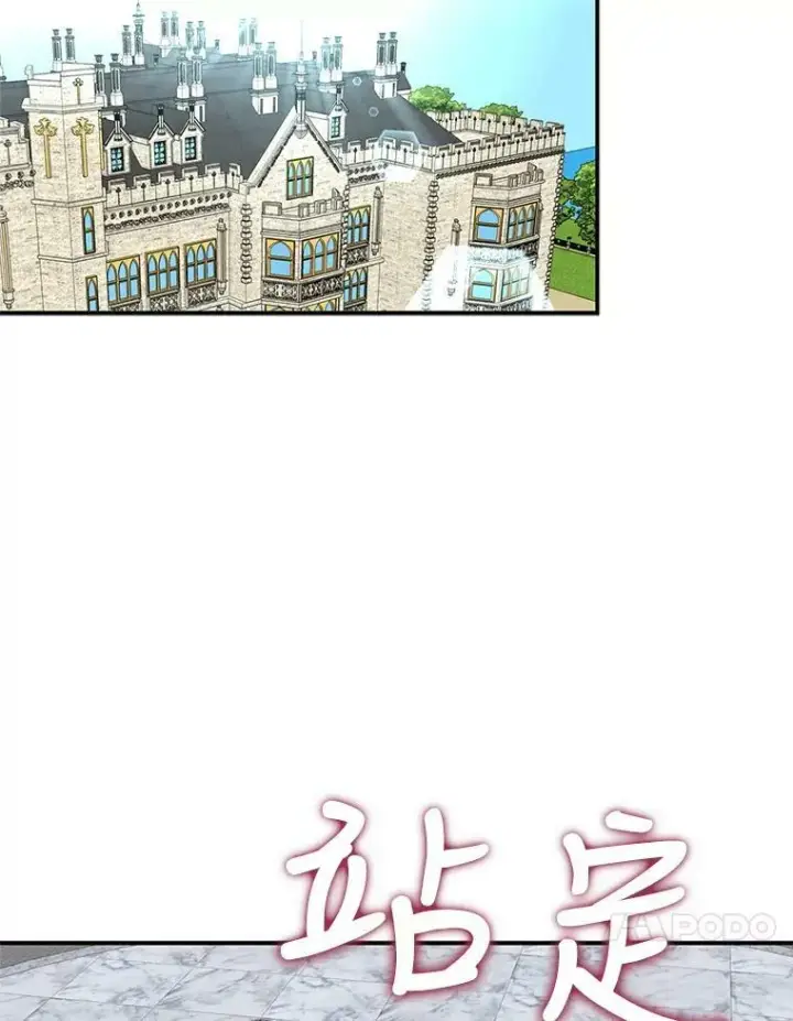 《反派的继母》78.后继无人图24
