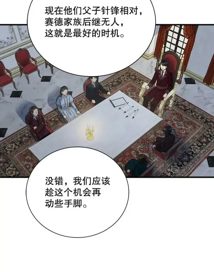 《反派的继母》78.后继无人图66