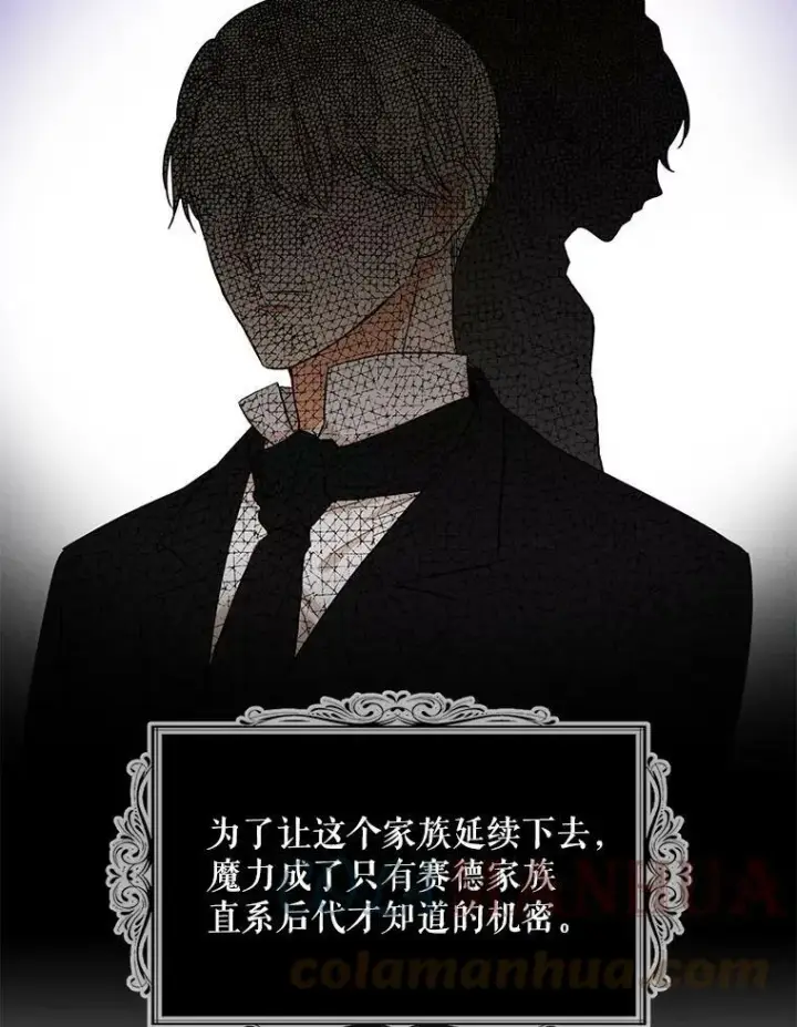 《反派的继母》86.魔力石的秘密图37