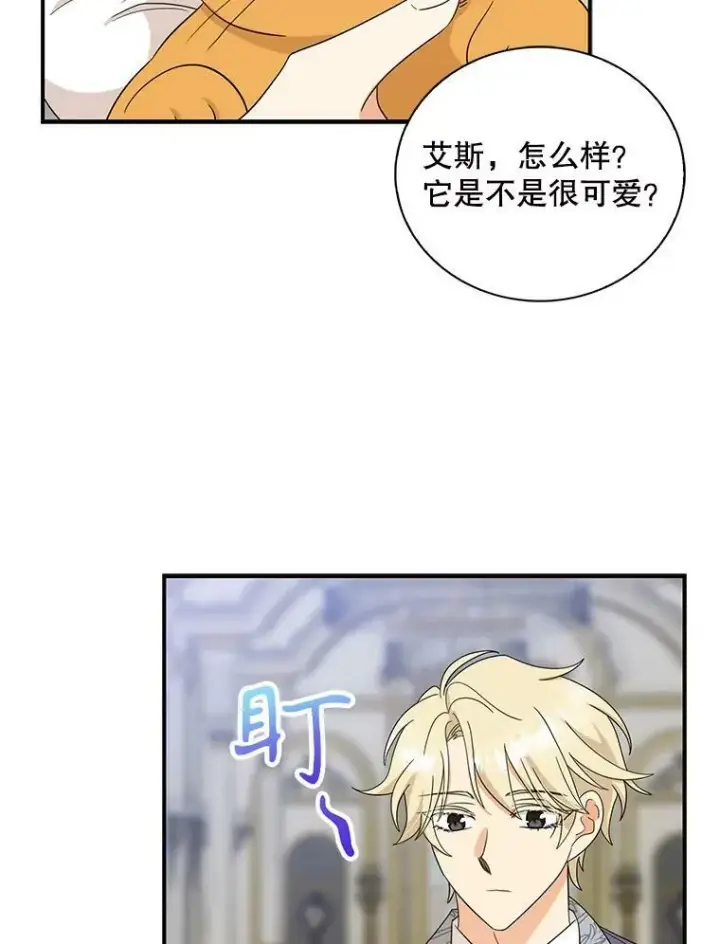 《反派的继母》89.跑跑图32