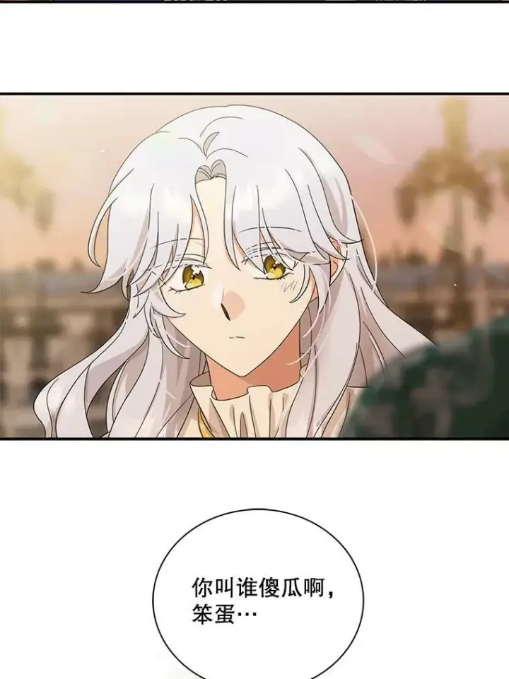 《反派的继母》89.跑跑图71
