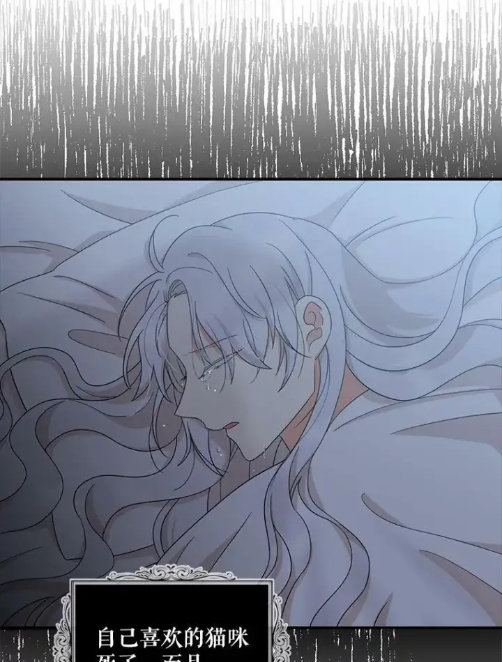 《反派的继母》91.毒杀图32
