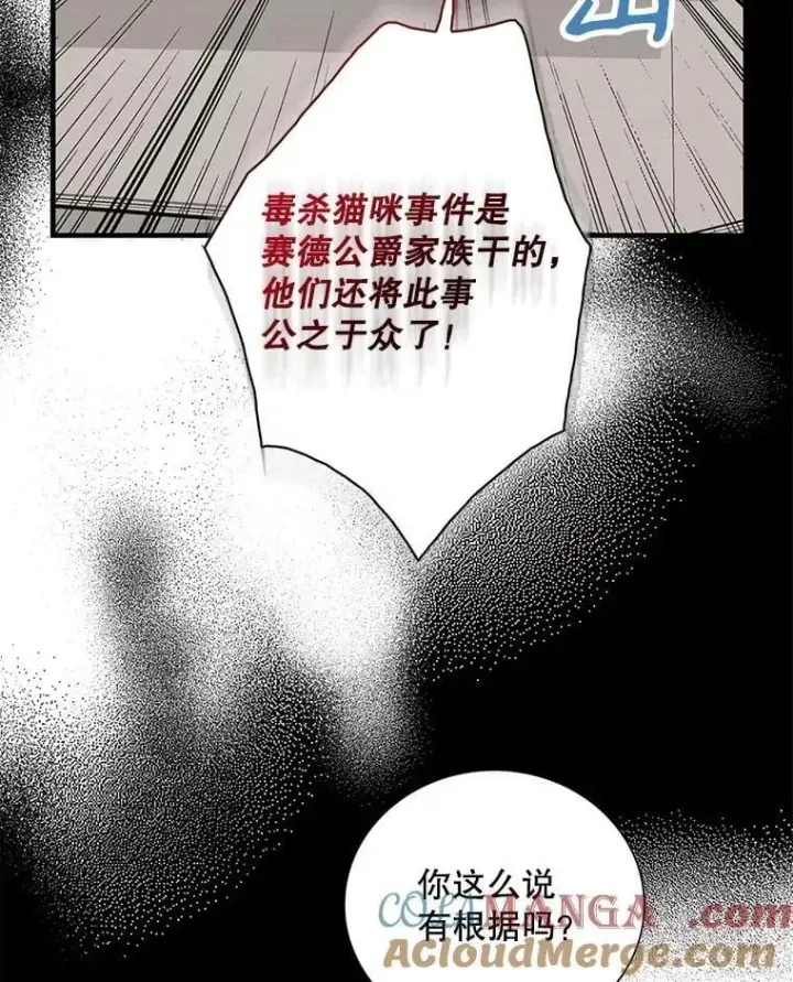 《反派的继母》98.众人作证图13