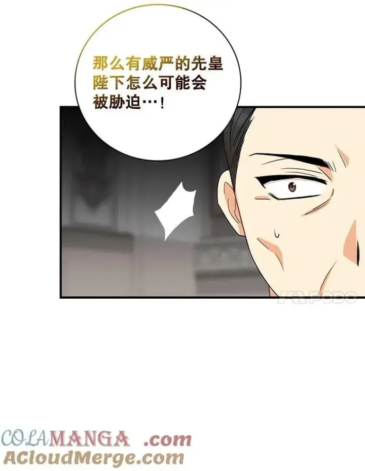 《反派的继母》99.先皇的信图40