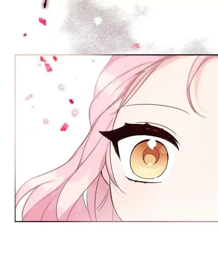 《反派家族的掌权小女儿》13.奇安的身份图72