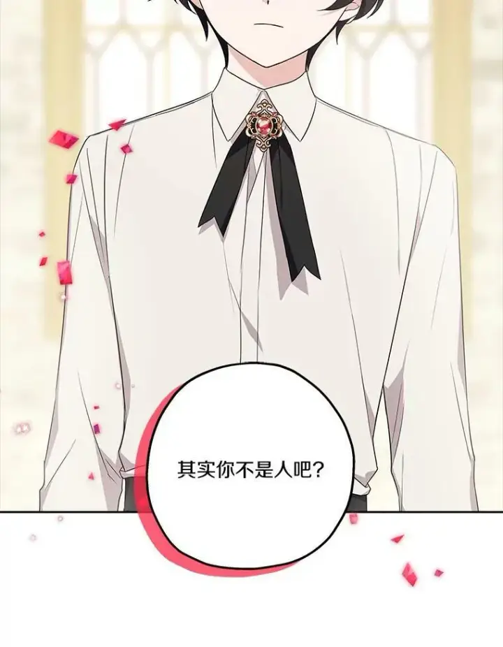 《反派家族的掌权小女儿》13.奇安的身份图94