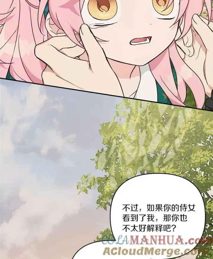 《反派家族的掌权小女儿》30.秘密庭园图33