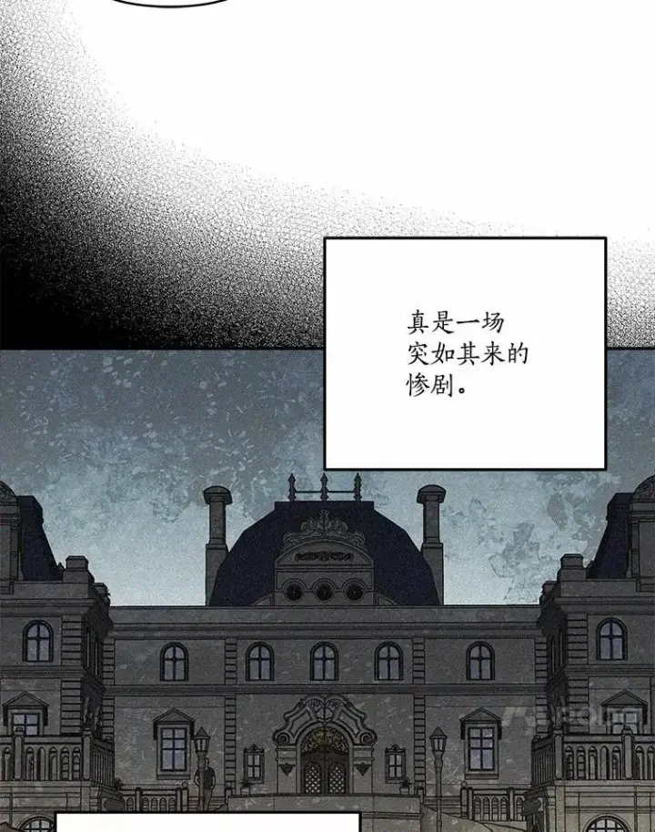 《反派家族的掌权小女儿》37.关于母亲的故事图100