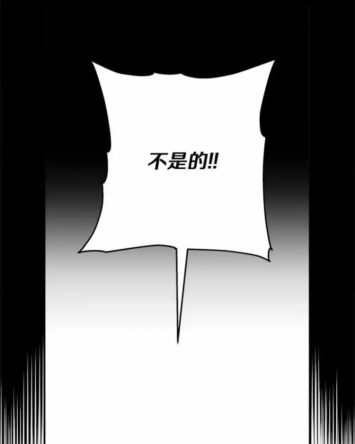 《反派家族的掌权小女儿》37.关于母亲的故事图54