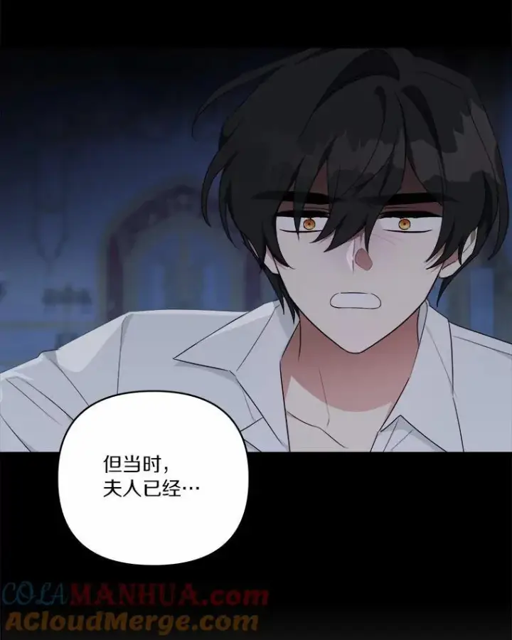 《反派家族的掌权小女儿》37.关于母亲的故事图85