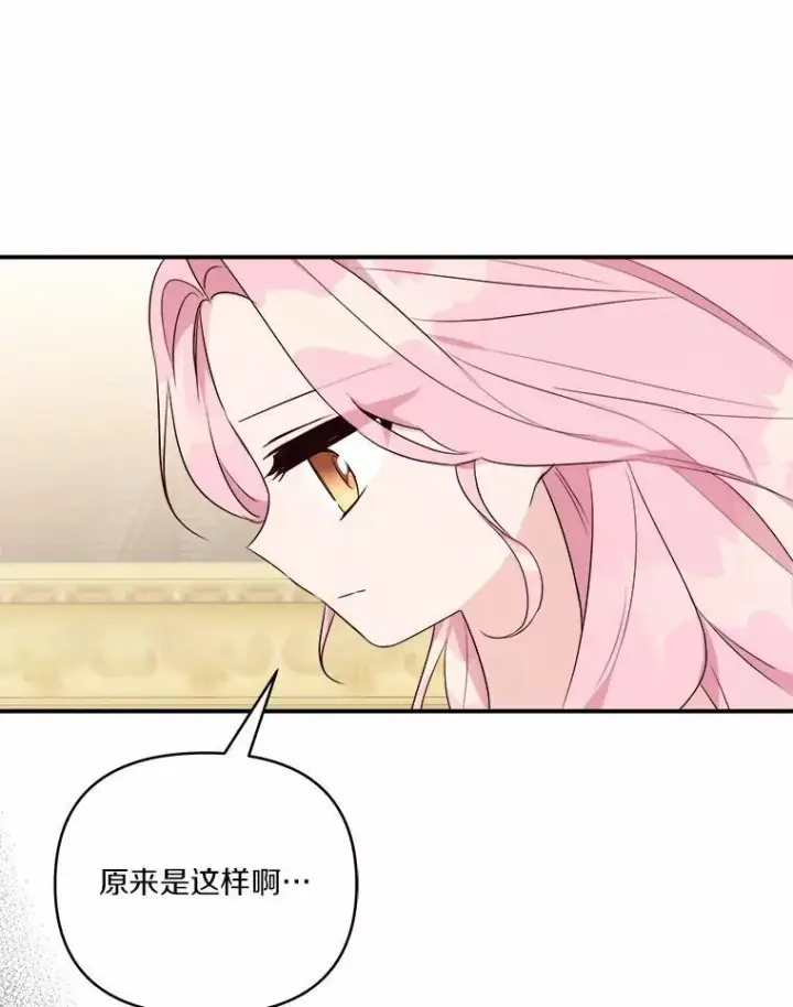 《反派家族的掌权小女儿》37.关于母亲的故事图99