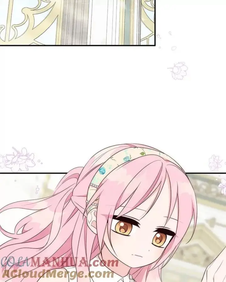 《反派家族的掌权小女儿》40.幸福精灵图21