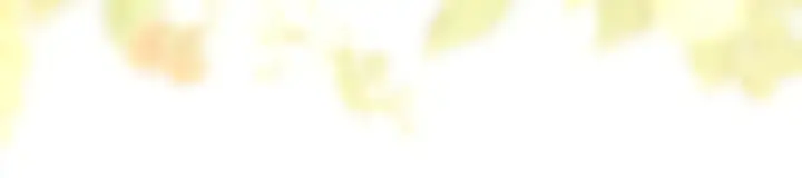 《反正是欧风小甜漫》第96话 老公天下第一图19