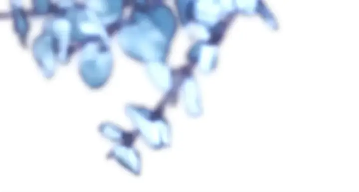 《反正是欧风小甜漫》第102话 气死皇帝作战成功图257