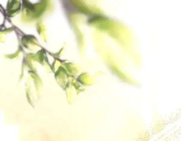 《反正是欧风小甜漫》第108话 不怀好意的邀请图15