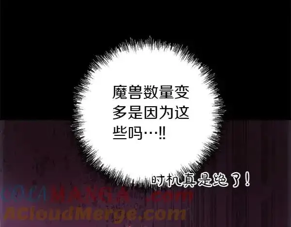 《反正是欧风小甜漫》第127话 拉开序幕图217