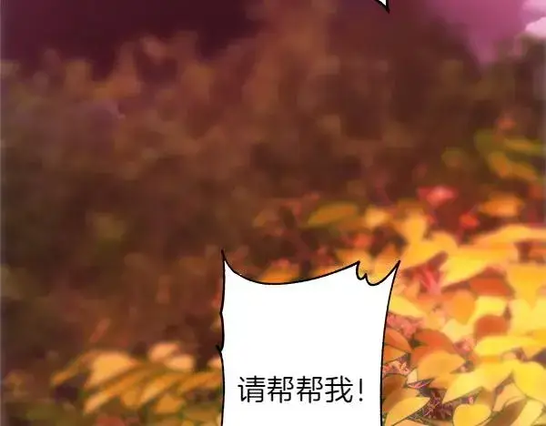 《反正是欧风小甜漫》第127话 拉开序幕图247