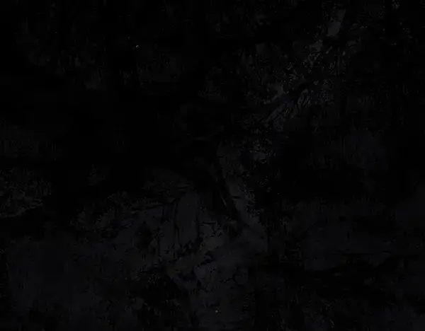 《反正是欧风小甜漫》第三季完结篇 终于要出发图306