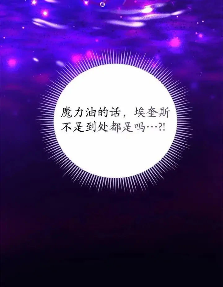 《菲奥妮-预见与杀人魔大公的未来》50.魔力油图106
