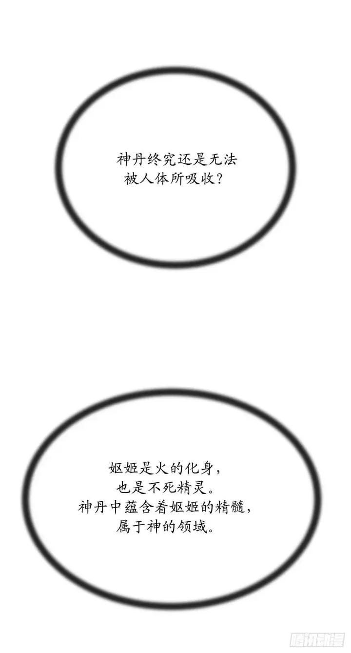 《废柴重生之我要当大佬》160.不死之密图48