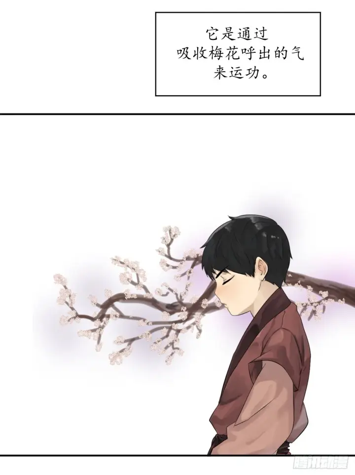 《废柴重生之我要当大佬》2.玄妙功法图22