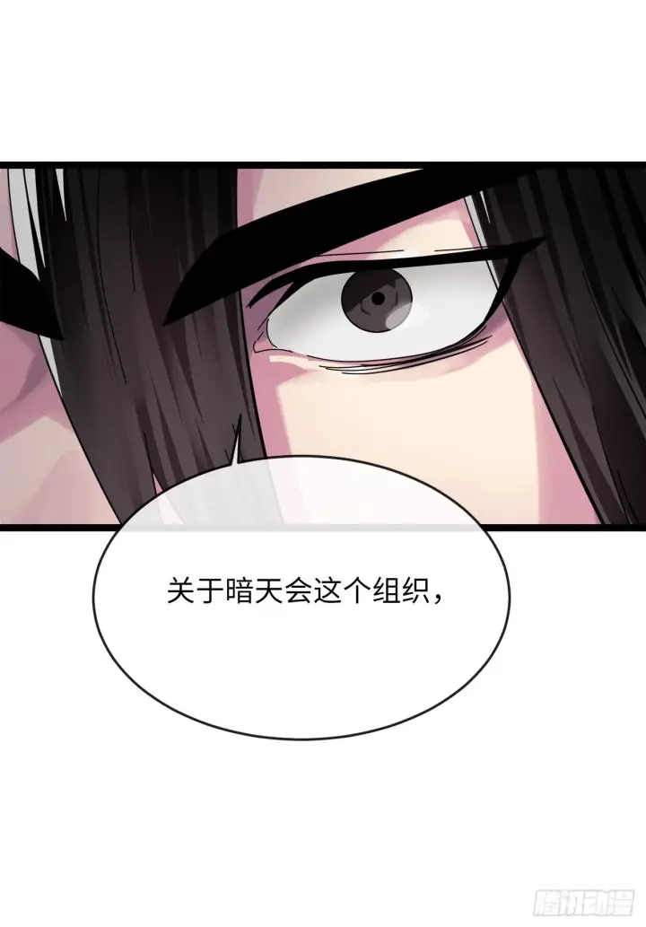 《废柴重生之我要当大佬》205.暗天秘史图26