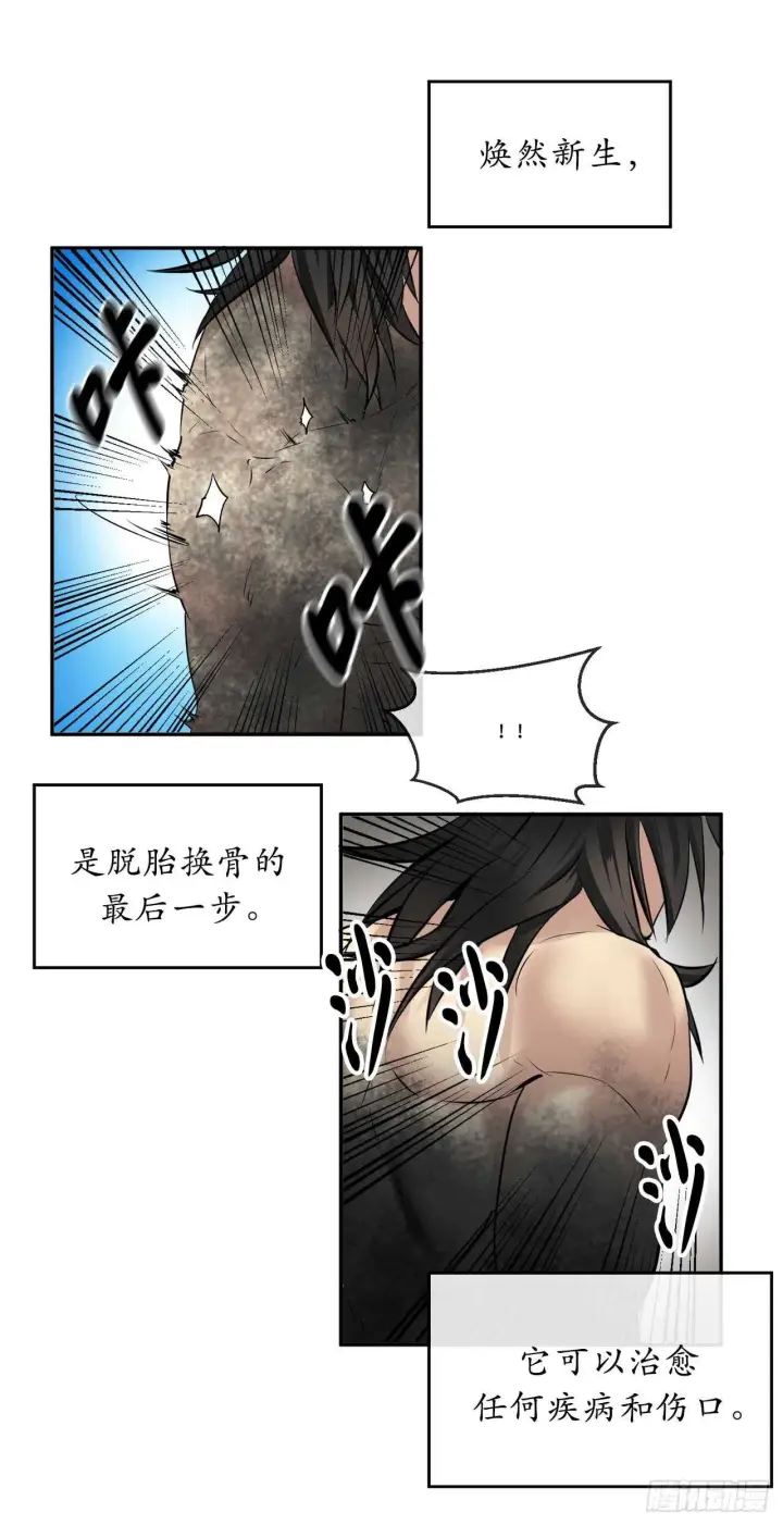 《废柴重生之我要当大佬》53.脱胎换骨图55