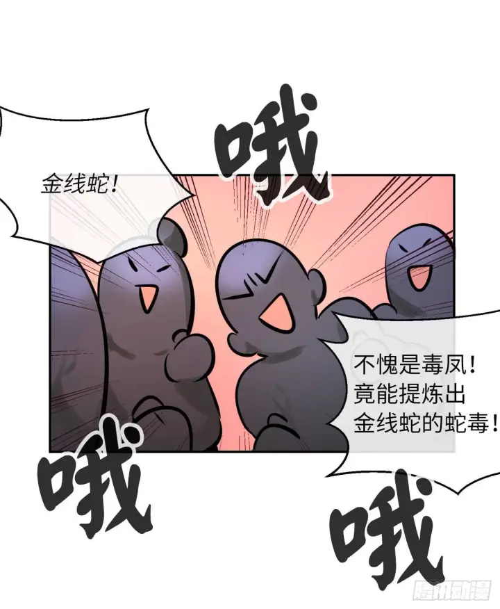 《废柴重生之我要当大佬》59.再战毒凤图55