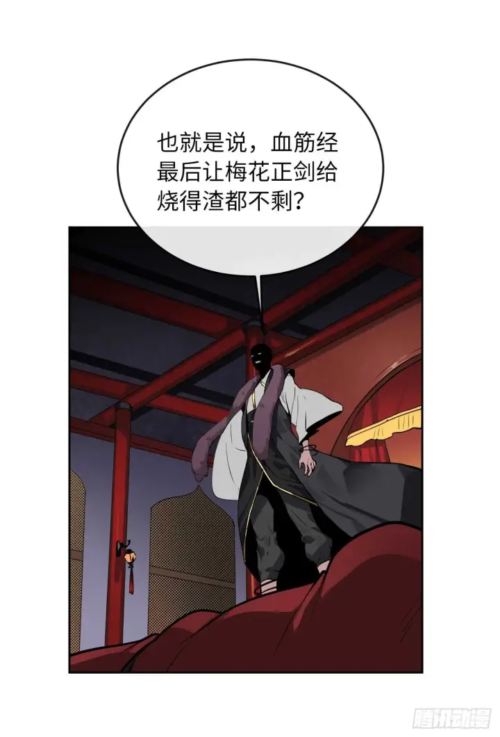 《废柴重生之我要当大佬》81.梅花正剑图39