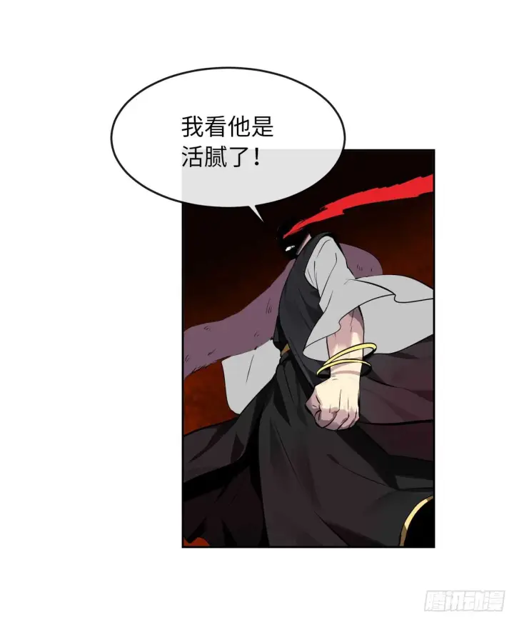 《废柴重生之我要当大佬》81.梅花正剑图41