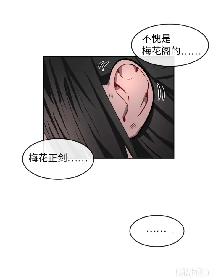 《废柴重生之我要当大佬》81.梅花正剑图9