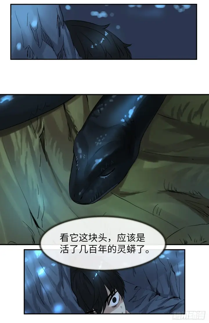 《废柴重生之我要当大佬》5.走火入魔图2