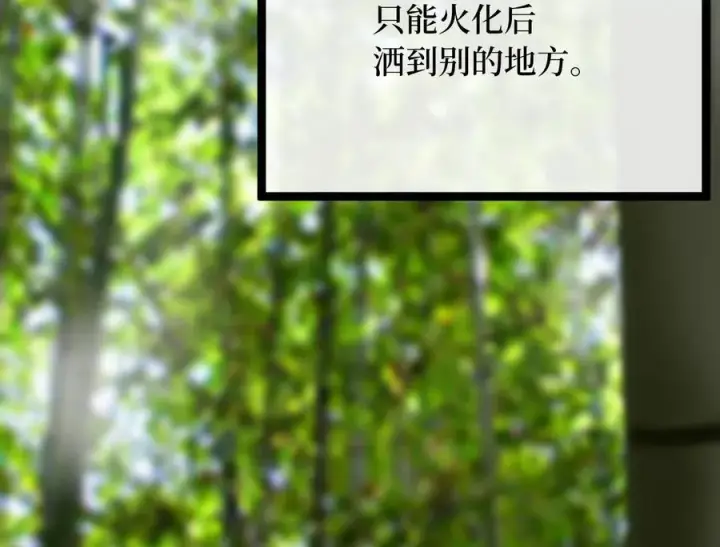 《废柴重生之我要当大佬》239.局势逆转图146