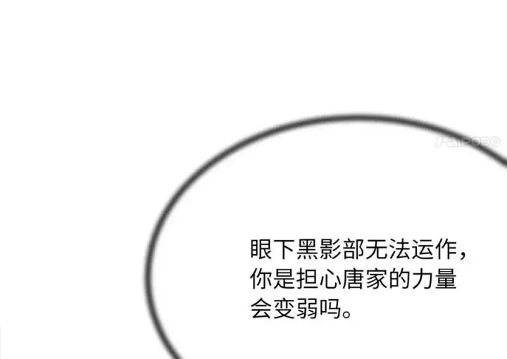 《废柴重生之我要当大佬》240.推选盟主图54