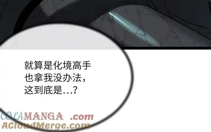 《废柴重生之我要当大佬》249.出奇制胜图153