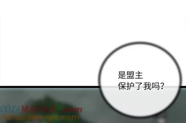 《废柴重生之我要当大佬》252.撤退计划图241