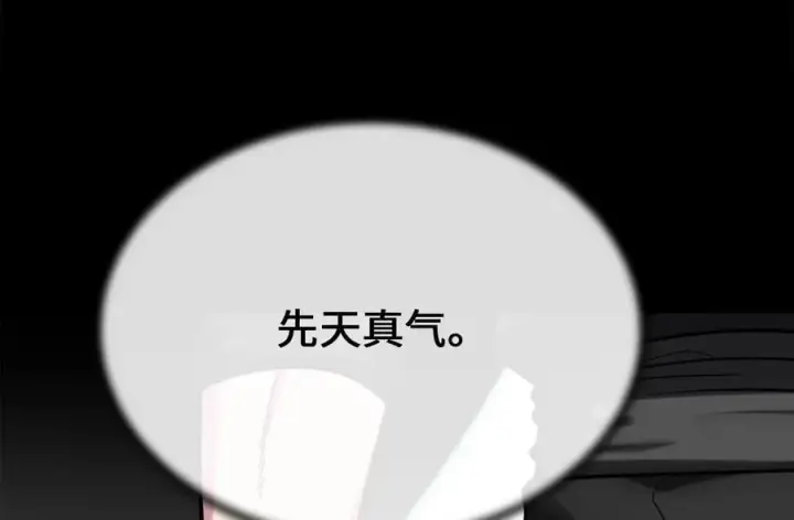 《废柴重生之我要当大佬》254.先天真气图40