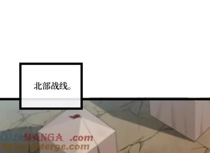 《废柴重生之我要当大佬》279.南部告捷图169